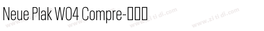Neue Plak W04 Compre字体转换